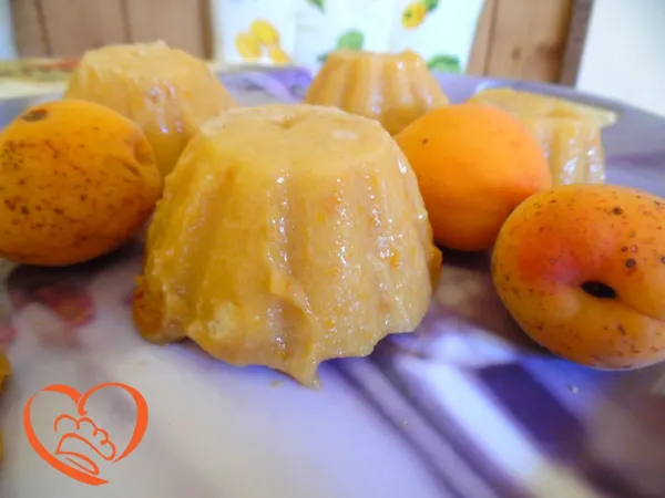 Budino alle albicocche con biscotti