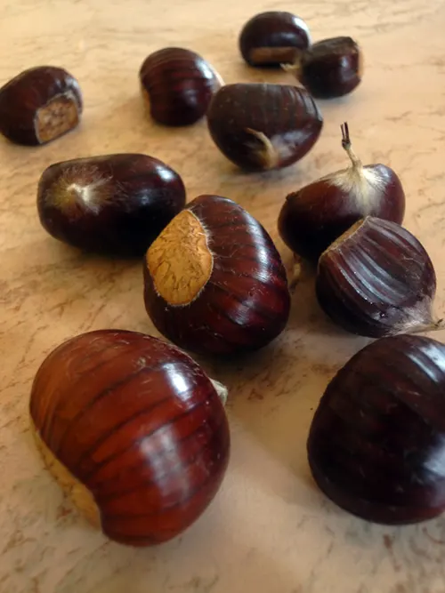 CASTAGNE 1
