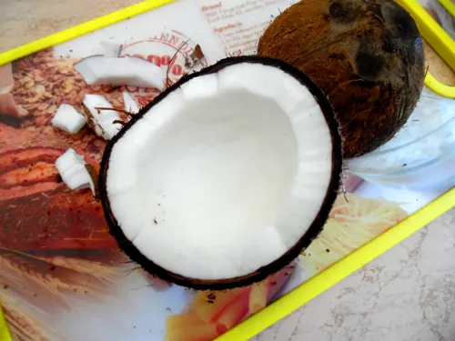 COCCO