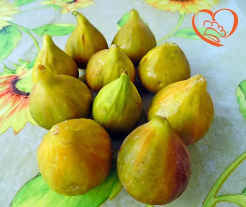 FICHI VERDI