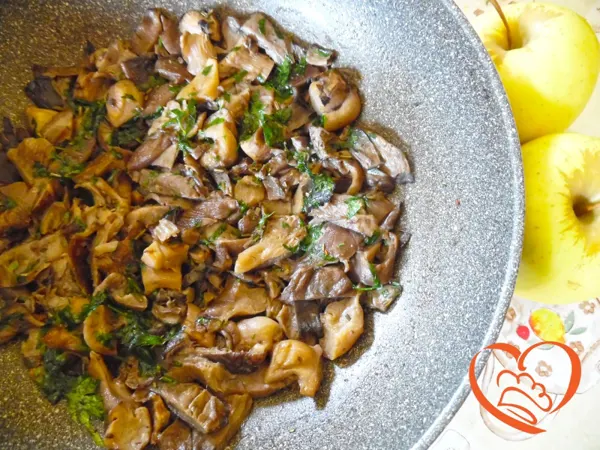 Funghi pleurotus trifolati