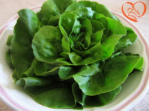 LATTUGA