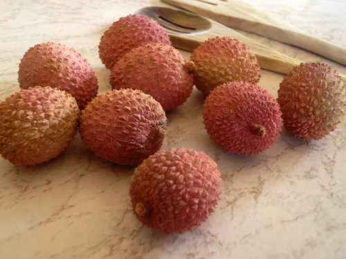 LITCHIS 2