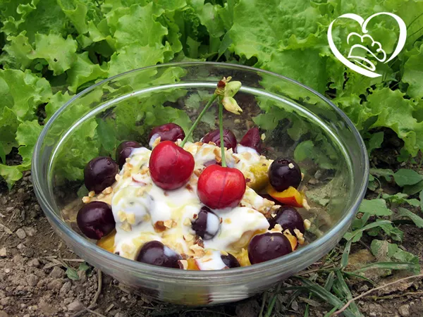 Macedonia con yogurt , miele e granella di nocciole