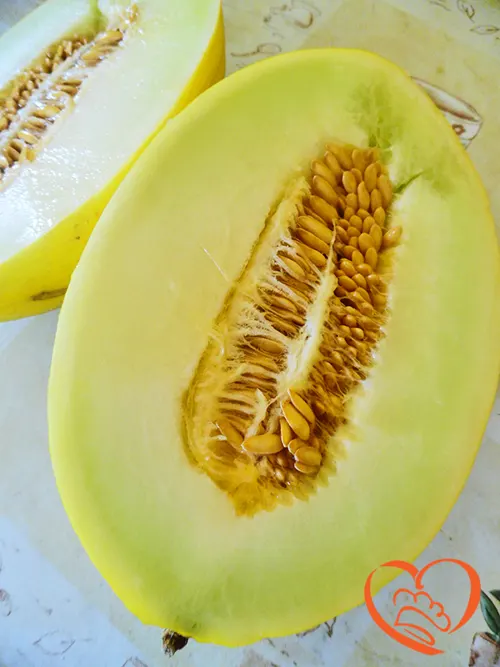 MELONE GIALLO 2