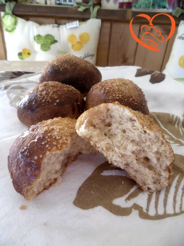 Pan brioche integrale
