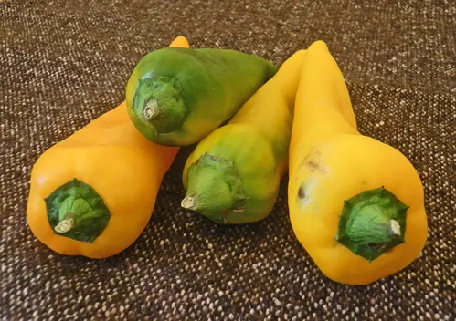 PEPERONI GIALLI CORNO