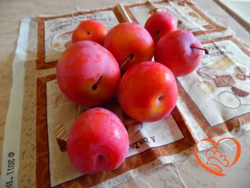 PRUGNE ROSA