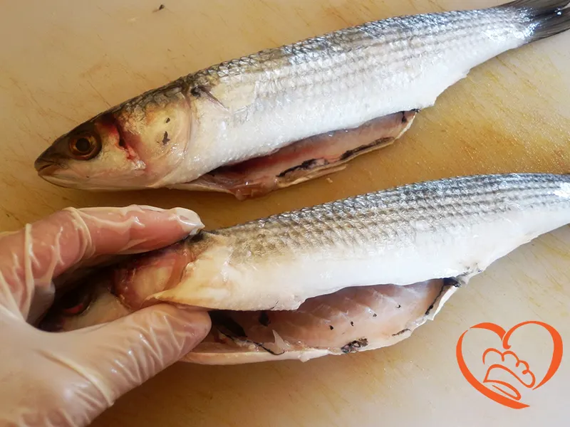PULIZIA_SFILETTATURA_PESCE_LUNGO_5_.JPG