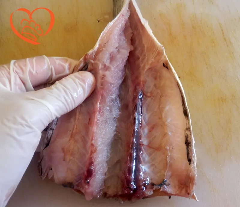 PULIZIA_SFILETTATURA_PESCE_LUNGO_7_.JPG
