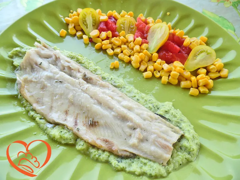 Trota iridea su crema di zucchine