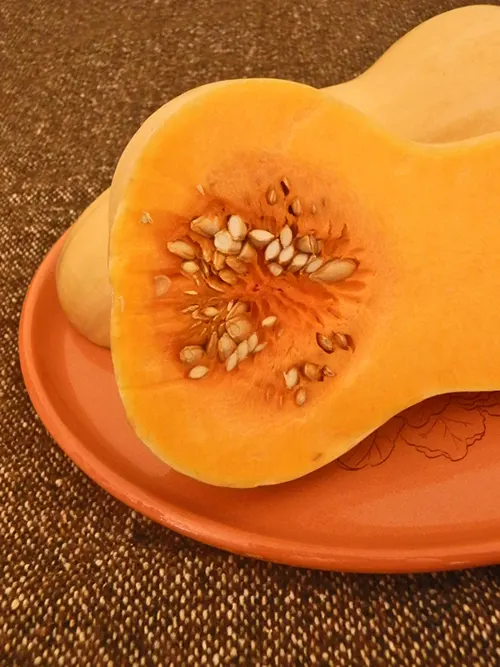 ZUCCA GIALLA 1