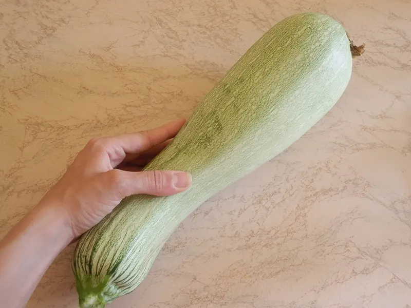 ZUCCHINA 3 KG