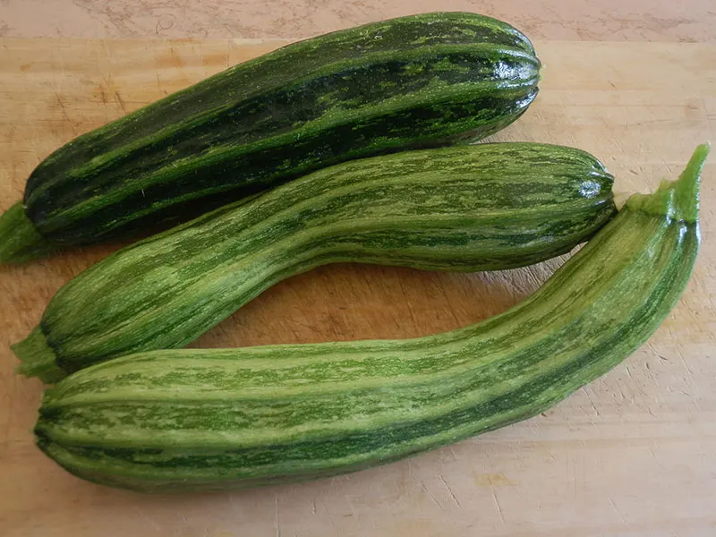 ZUCCHINE FIORI ORTO 1