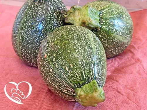 ZUCCHINE TONDE 1