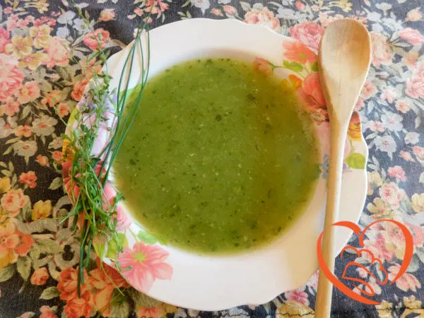 Vellutata di cetrioli e zucchine