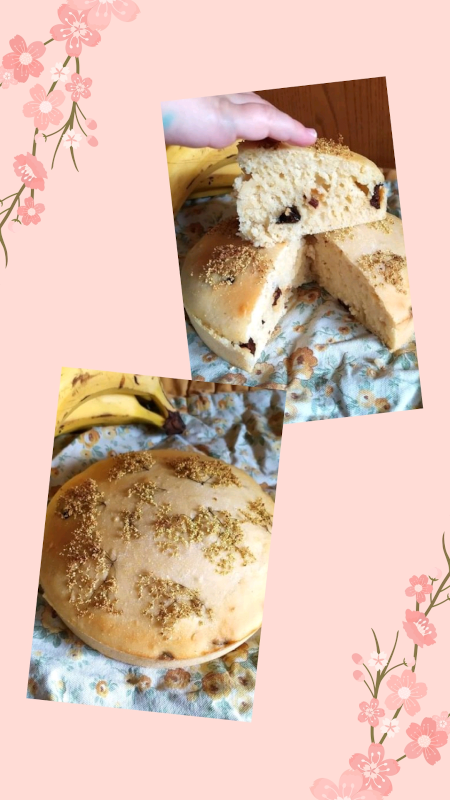 STORIA TORTA SAMBUCO