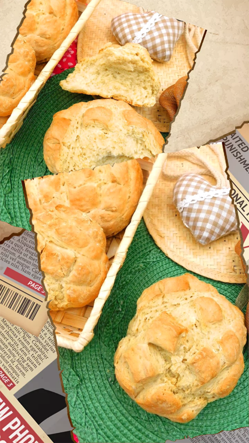 STORIA PANE TARTARUGHE