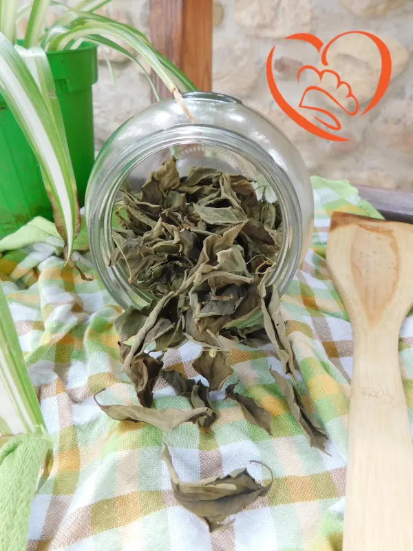 Basilico essiccato